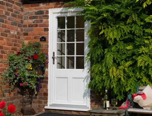 Evolution – Back Door with glazing
