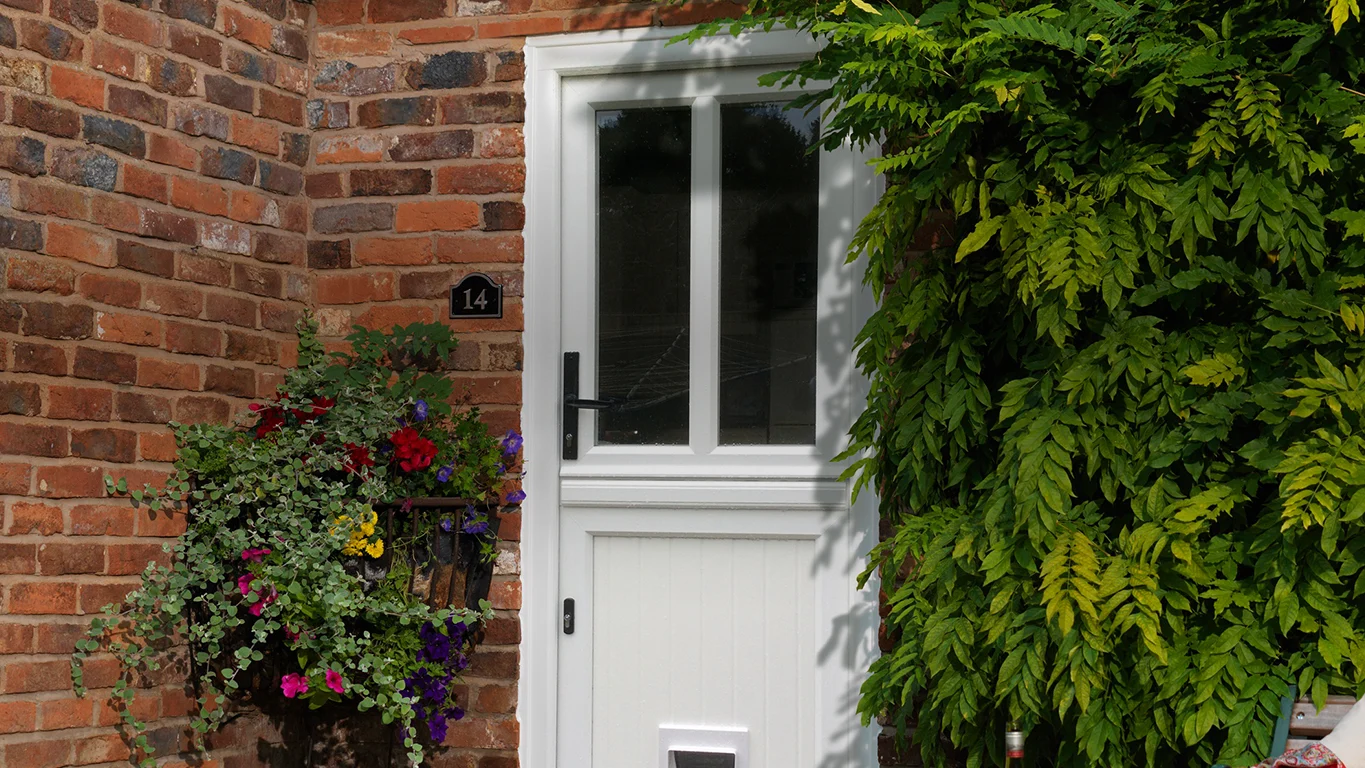 Evolution Stable Door
