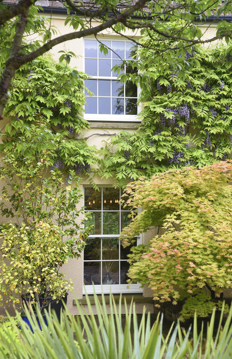 Slim Sash Windows Finished In A Colour Complementary To Farrow Ball White Tie