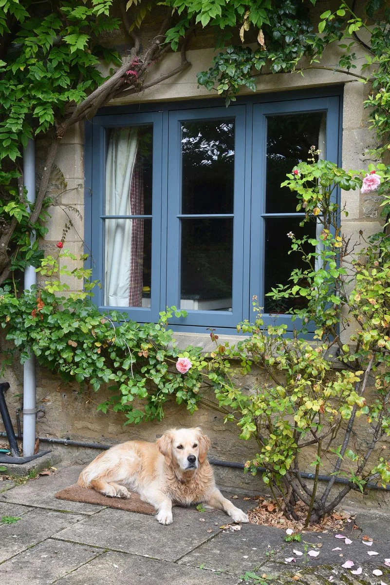 Urbane Grey Flush Casement Windows
