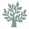 Timber Windows Tree Logo Timber Windows Tree Logo