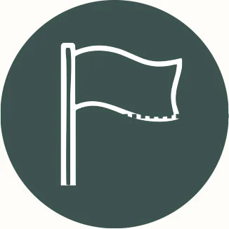 TWSA-Our-story-flag