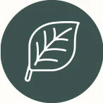 TWSA-Windows_18
