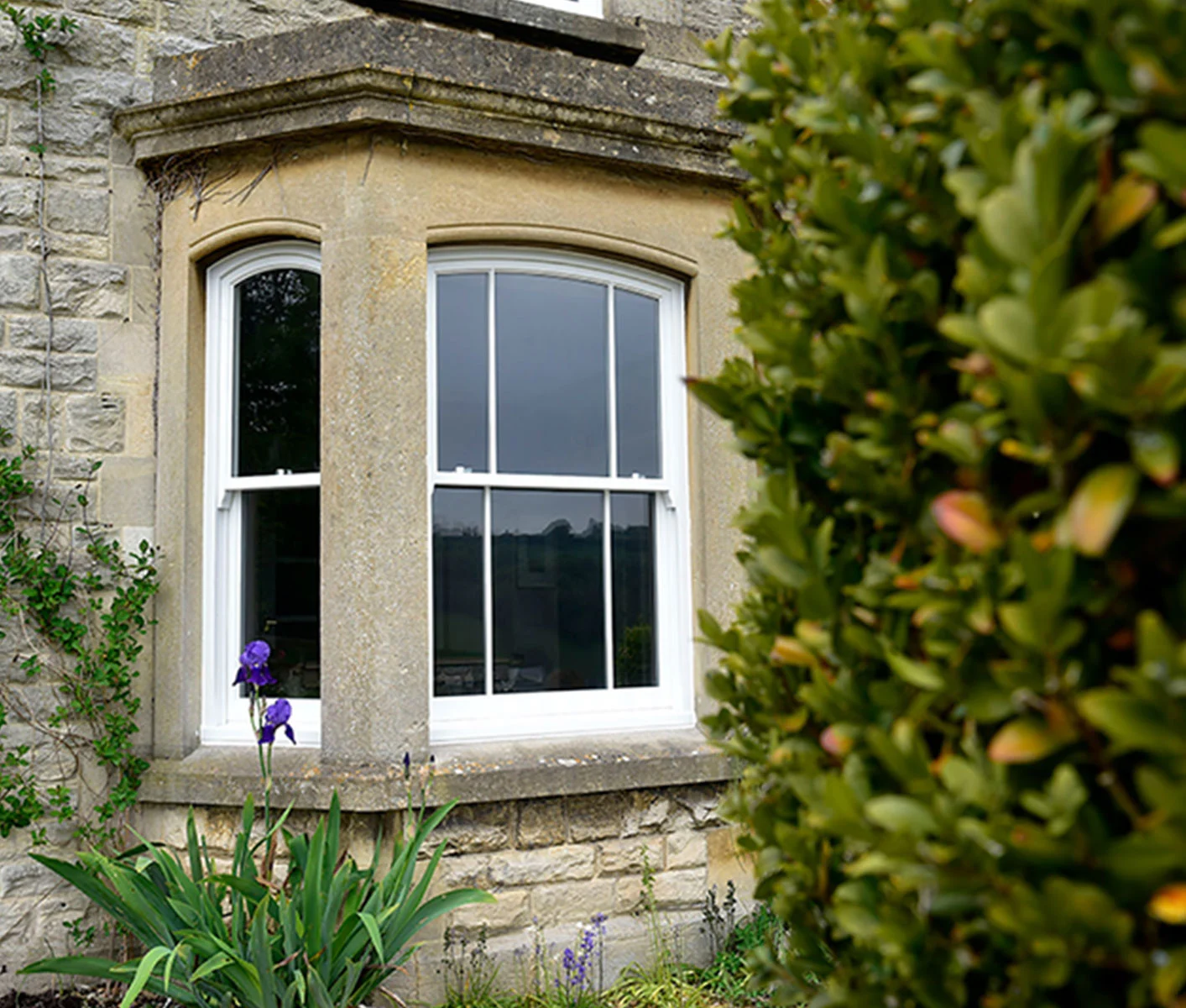Timber Windows